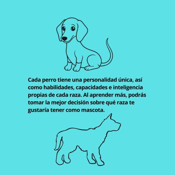 Perros del mundo Libro para colorear descargable Pdf Ebook - Imagen 4
