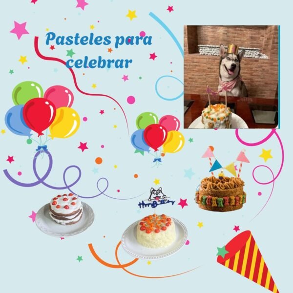 imagenes de pasteles para mascotas